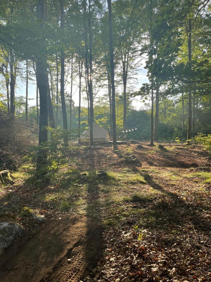 Naturglamping 克里斯蒂安斯塔德 外观 照片