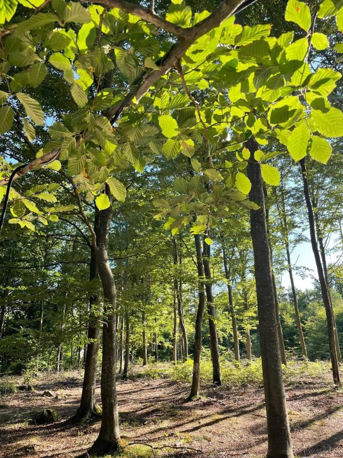 Naturglamping 克里斯蒂安斯塔德 外观 照片