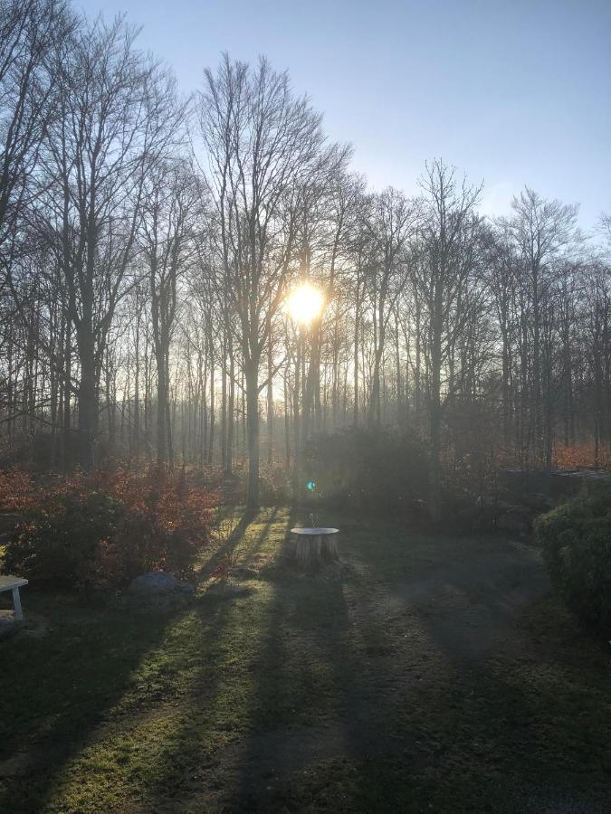Naturglamping 克里斯蒂安斯塔德 外观 照片