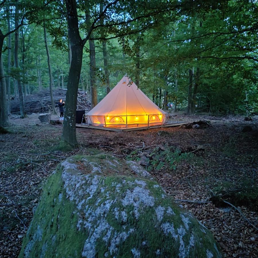 Naturglamping 克里斯蒂安斯塔德 外观 照片