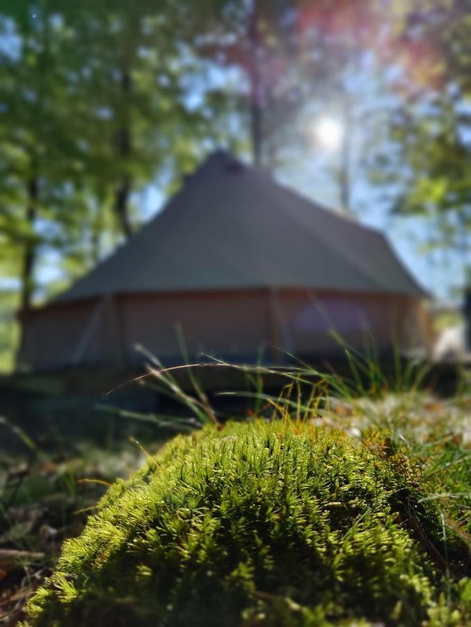 Naturglamping 克里斯蒂安斯塔德 外观 照片