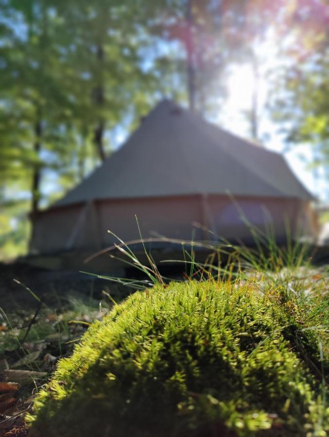 Naturglamping 克里斯蒂安斯塔德 外观 照片